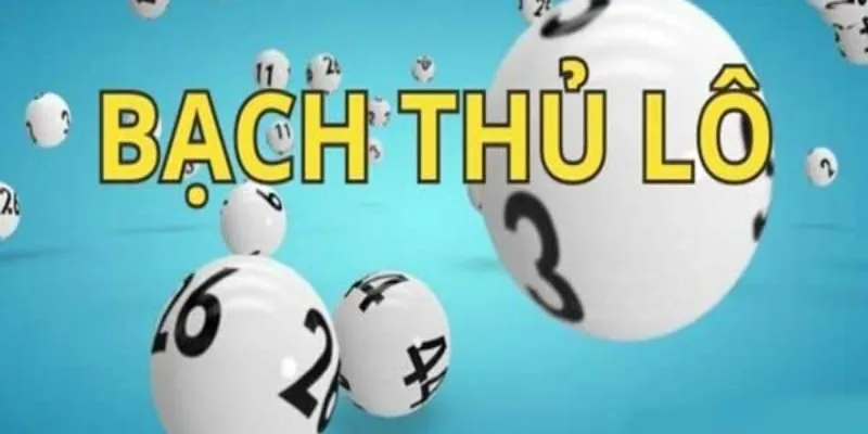 3 cách nuôi bạch thủ đề phổ biến cho người mới