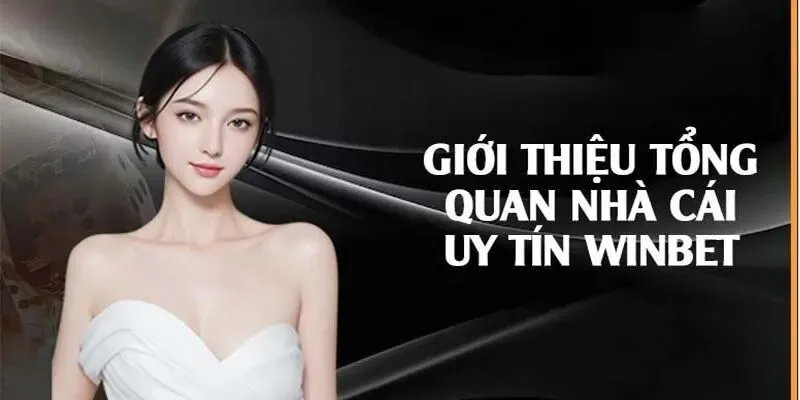 Thông tin chung về thương hiệu Winbet